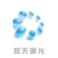 電動壓力測試泵